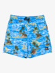 Everyday Straight 14" - Swim Shorts for Boys 8 - 16  EQBJV03501