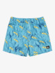 Next Gen 14" - Swim Shorts for Boys 8 - 16  EQBJV03514