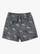 Next Gen 14" - Swim Shorts for Boys 8 - 16  EQBJV03514