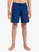 Everyday Holmes 14" - Swim Shorts for Boys 8 - 16  EQBJV03516