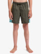 Everyday Holmes 14" - Swim Shorts for Boys 8 - 16  EQBJV03516