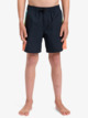 Everyday Holmes 14" - Swim Shorts for Boys 8 - 16  EQBJV03516