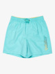 Spl Fineline 14" - Swim Shorts for Boys 8 - 16  EQBJV03520