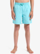 Spl Fineline 14" - Swim Shorts for Boys 8 - 16  EQBJV03520