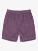 Taxer - Elastic Waist Walkshorts for Boys 8 - 16  EQBWS03371