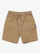 Taxer - Cargo Walkshorts for Boys 8 - 16  EQBWS03372