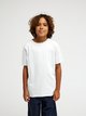 WHITE (wbb0)