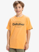 Ev Shape All Days - Short Sleeves T-Shirt for Boys 8 - 16  EQBZT04844