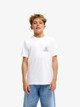 WHITE (wbb0)