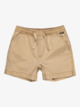 Taxer Boy 15" - Elastic Waist Walkshorts for Boys 2 - 7  EQKWS03219