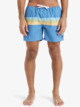 Everyday Straight 15" - Swim Shorts for Men  EQYJV04121