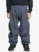 Live Wire  - Snow Pant for Men  EQYTP03211