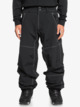 Live Wire  - Snow Pant for Men  EQYTP03211