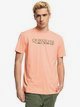 PEACH PINK (mgk0)