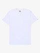 Salt Water - Short Sleeves T-Shirt for Men  EQYZT08136