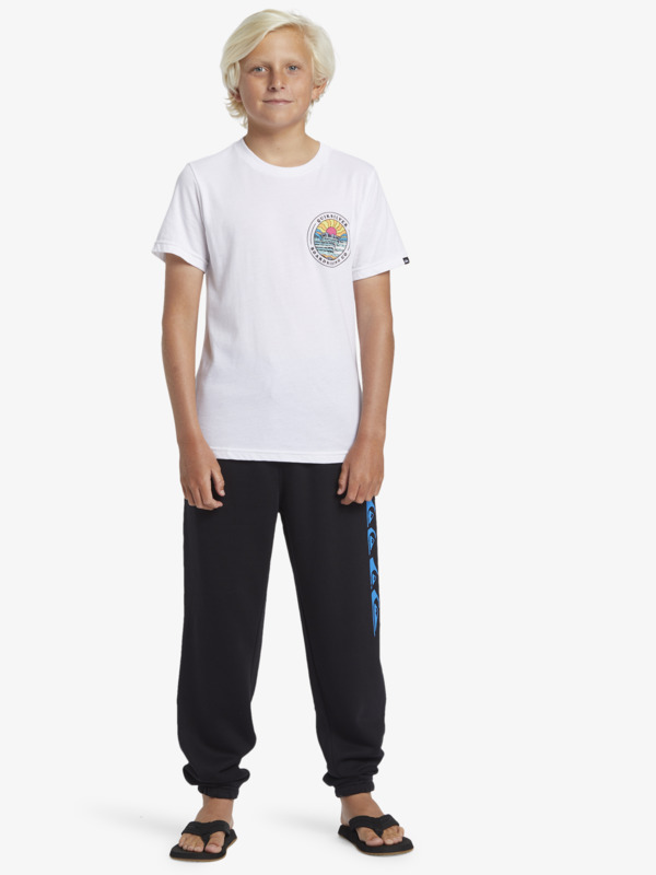 Graphic   - Elastic Waist Sweatpants for Boys  AQBFB03014