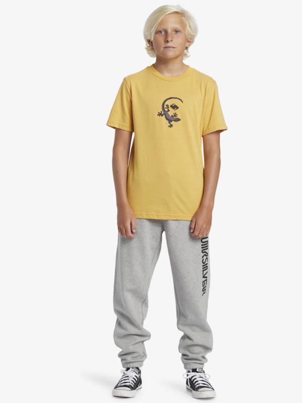 Graphic   - Elastic Waist Sweatpants for Boys  AQBFB03014