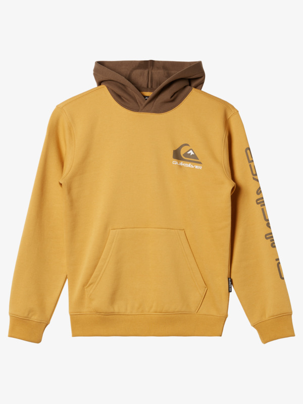 Logo - Pullover Hoodie for Boys 8 - 16  AQBFT03108