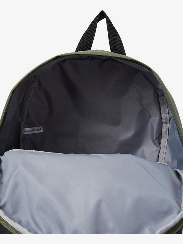 The Poster 26 L - Medium Backpack for Men  AQYBP03113