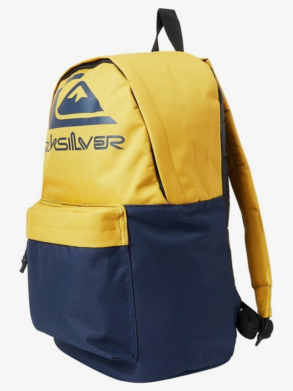 The Poster 26 L - Medium Backpack for Men  AQYBP03113