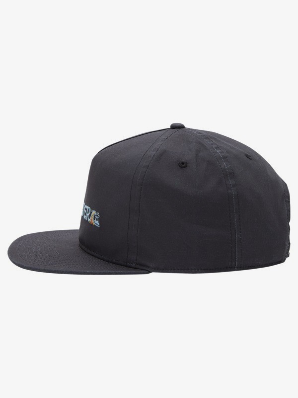 Sustain To Remain - Snapback Cap for Men  AQYHA04949