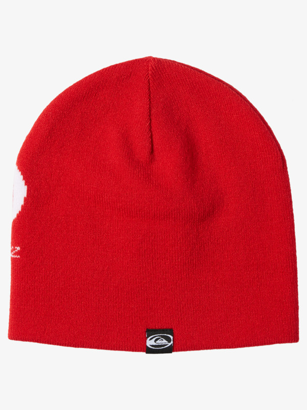 Saturn - Cuff Beanie for Men  AQYHA05392