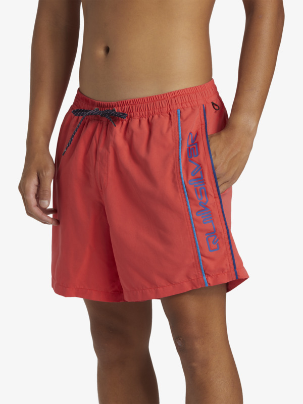 Everyday Vert Volley 16" - Swim Shorts for Men  AQYJV03139