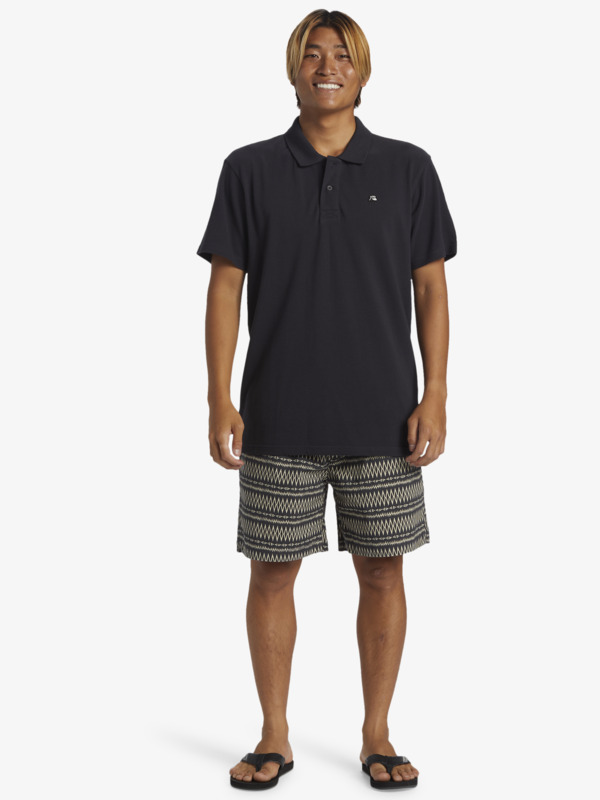 DNA Polo  AQYKT03119