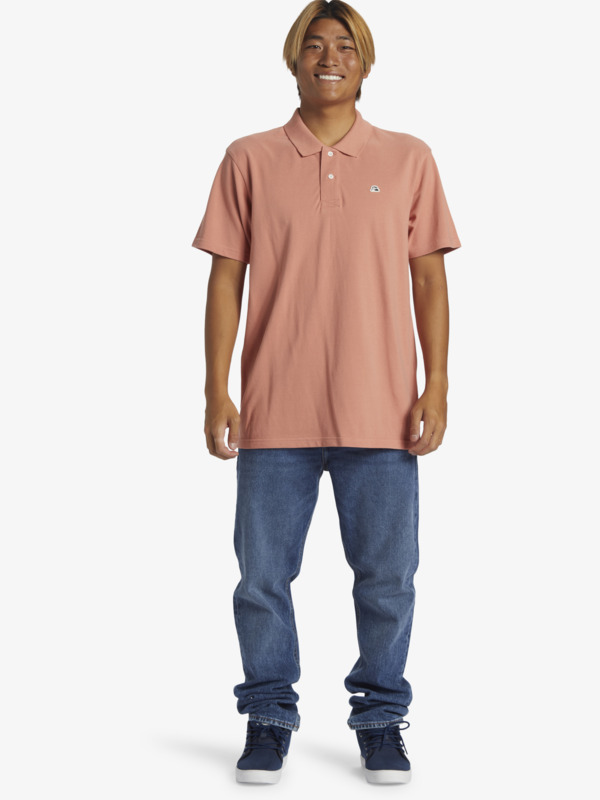 DNA Polo  AQYKT03119
