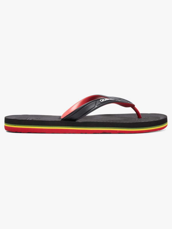 Haleiwa - Flip-Flops for Men AQYL100627