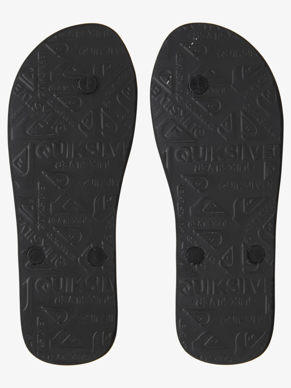 Molokai Everyday Paradise - Flip-Flops for Men  AQYL101188