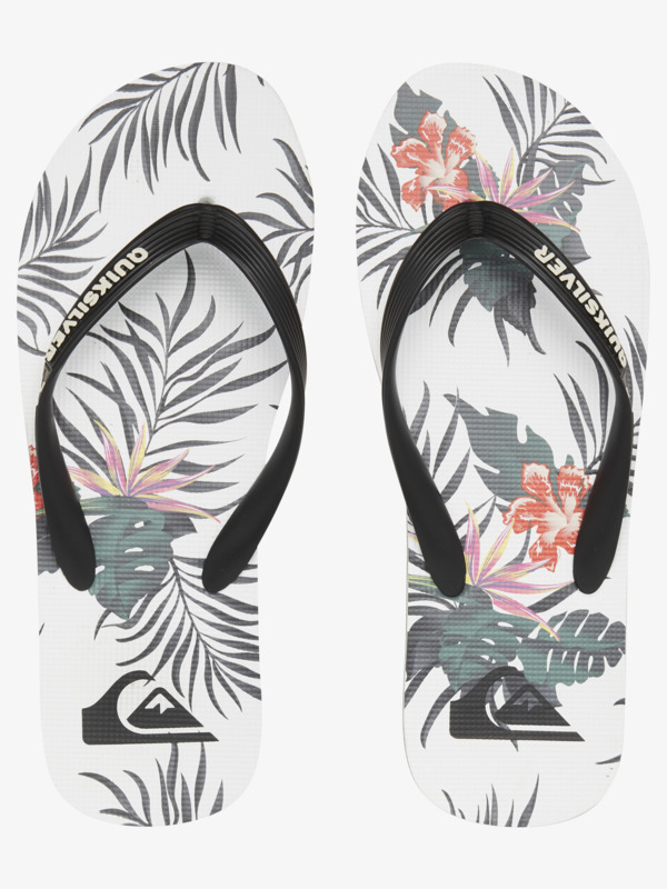 Molokai Everyday Paradise - Flip-Flops for Men  AQYL101188