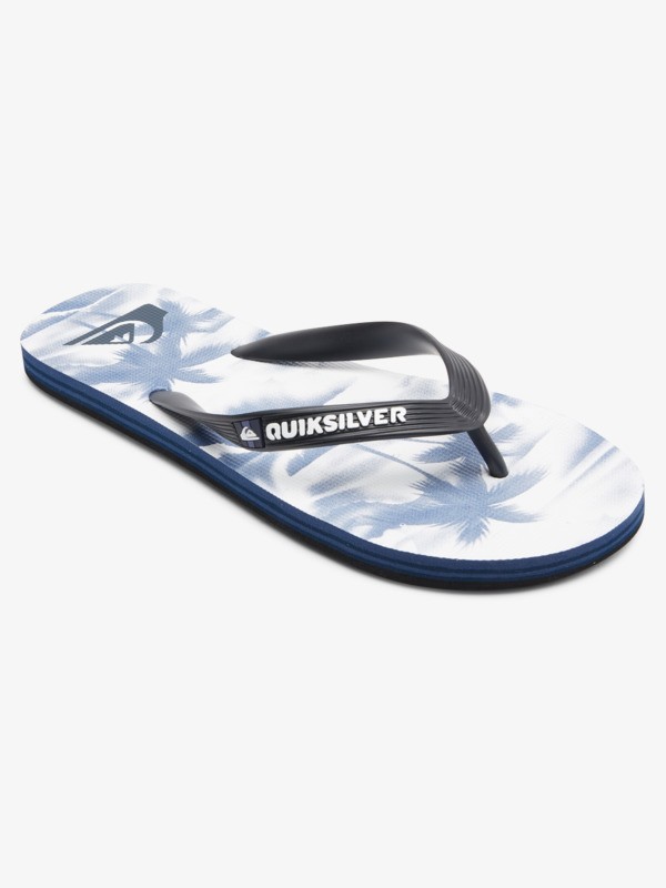 Molokai Art - Flip-Flops for Men  AQYL101204