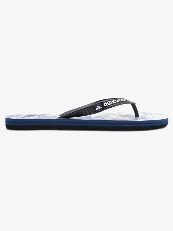 Molokai Art - Flip-Flops for Men  AQYL101204