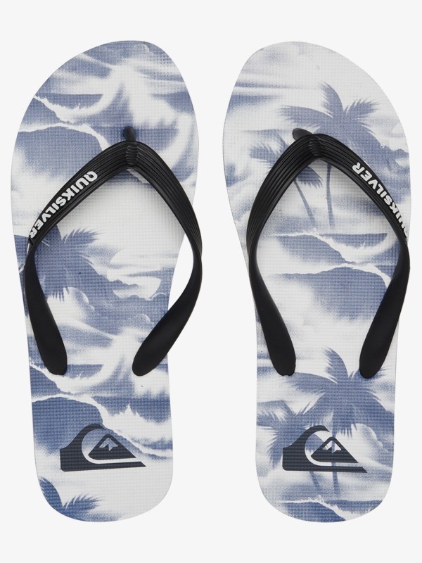 Molokai Art - Flip-Flops for Men  AQYL101204