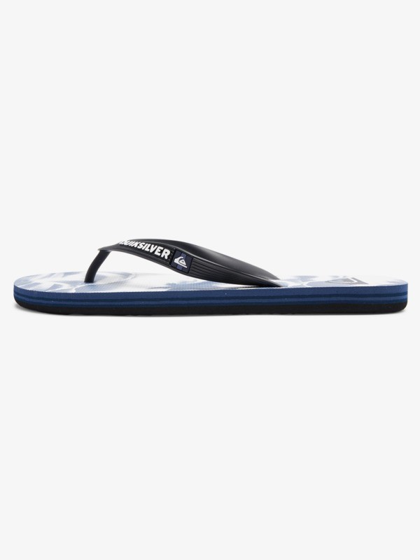 Molokai Art - Flip-Flops for Men  AQYL101204