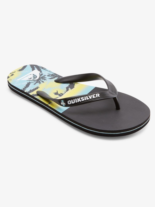 Molokai Panel - Flip-Flops for Men  AQYL101263