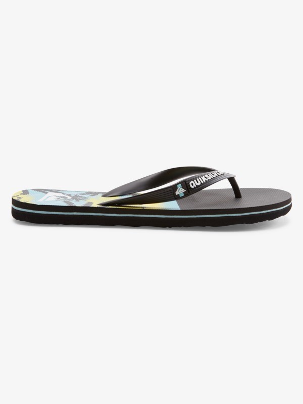 Molokai Panel - Flip-Flops for Men  AQYL101263