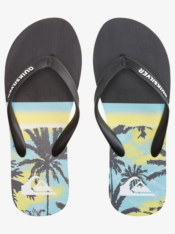 Molokai Panel - Flip-Flops for Men  AQYL101263