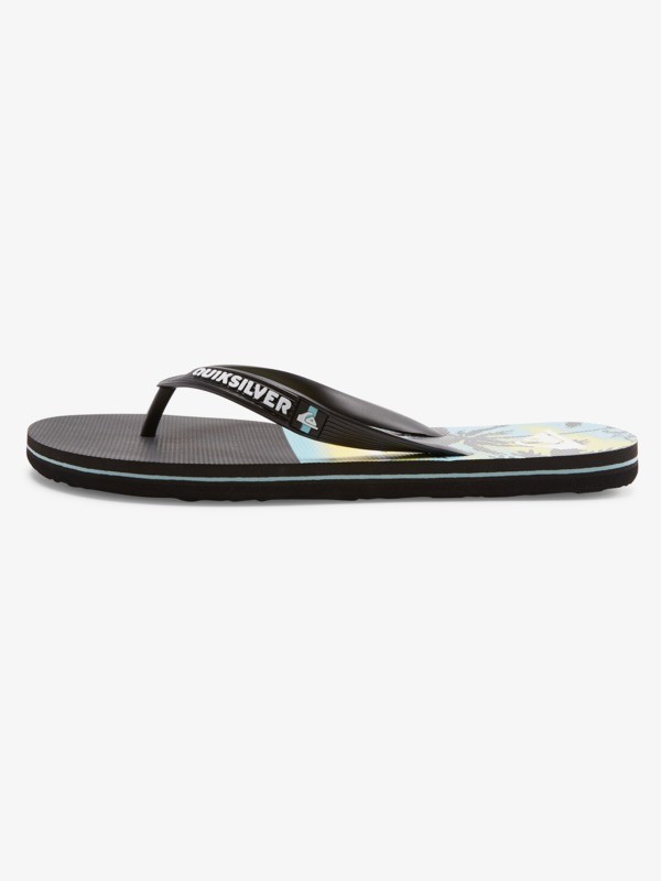 Molokai Panel - Flip-Flops for Men  AQYL101263