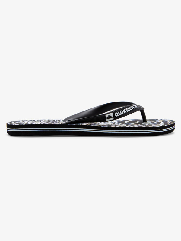 Molokai Art Gregg Kaplan - Flip-Flops for Men  AQYL101264
