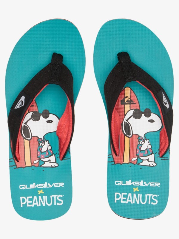 Havaianas uomo snoopy best sale