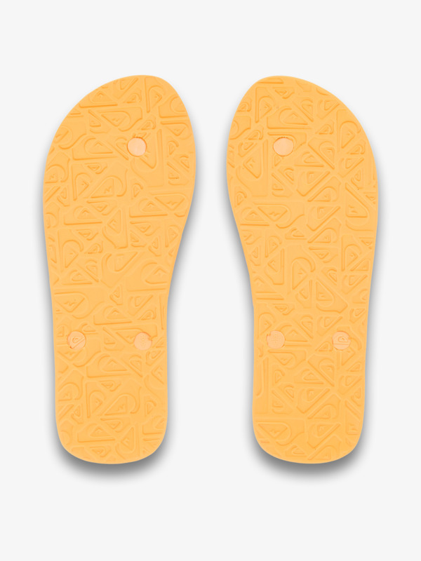 Molokai Screen - Flip-Flops for Men  AQYL101427