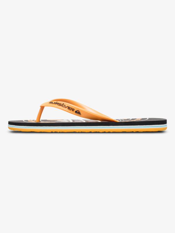 Molokai Screen - Flip-Flops for Men  AQYL101427