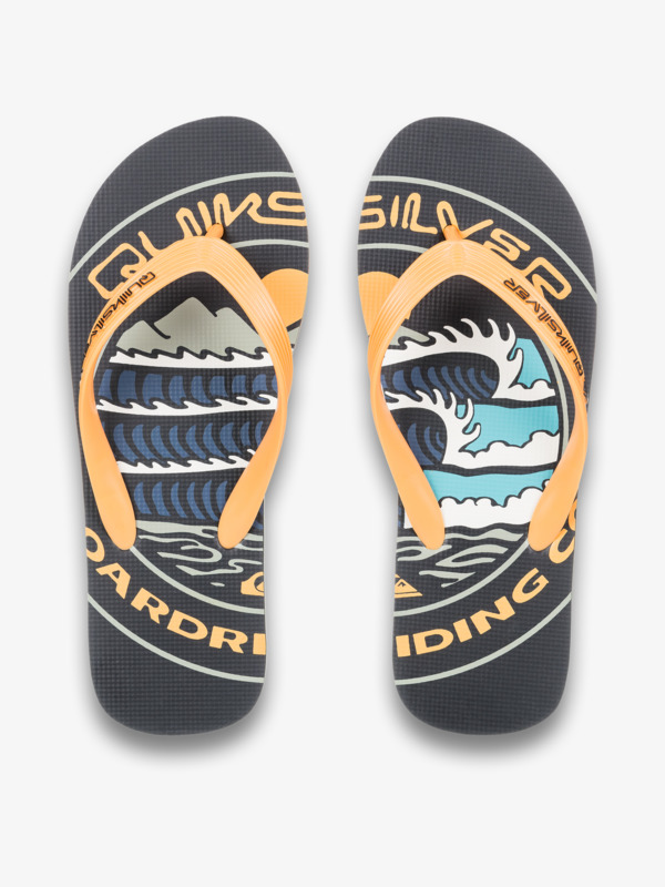 Molokai Screen - Flip-Flops for Men  AQYL101427