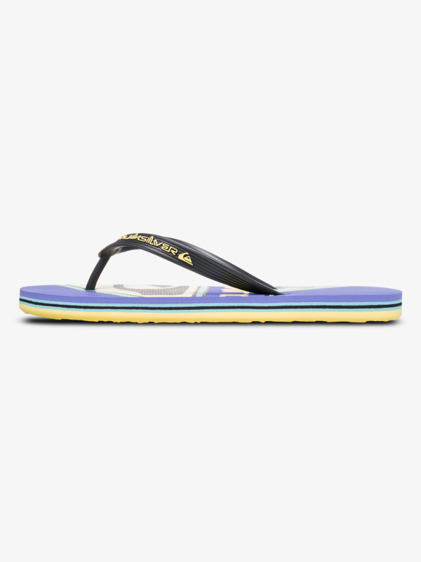 Molokai Screen - Flip-Flops for Men  AQYL101427