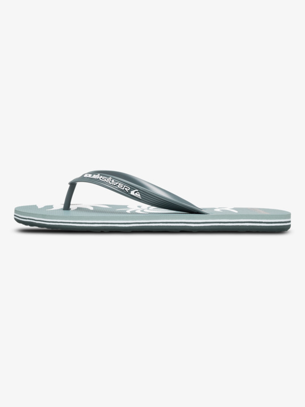 Molokai Screen - Flip-Flops for Men  AQYL101427