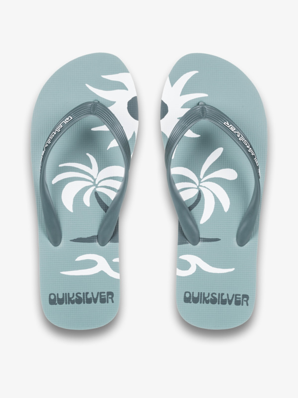 Molokai Screen - Flip-Flops for Men  AQYL101427