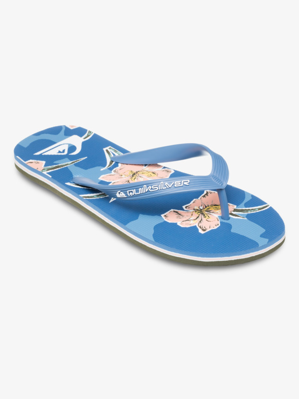 Molokai Art 25 - Flip-Flops for Men  AQYL101430