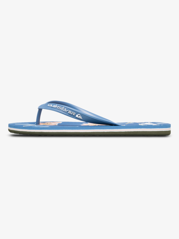 Molokai Art 25 - Flip-Flops for Men  AQYL101430